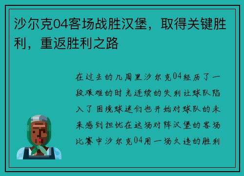 沙尔克04客场战胜汉堡，取得关键胜利，重返胜利之路