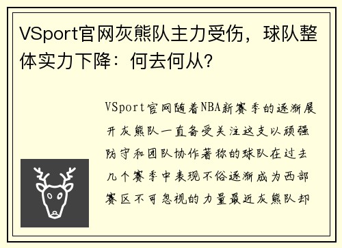 VSport官网灰熊队主力受伤，球队整体实力下降：何去何从？