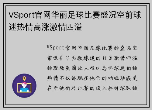 VSport官网华丽足球比赛盛况空前球迷热情高涨激情四溢