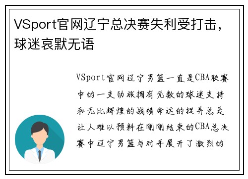 VSport官网辽宁总决赛失利受打击，球迷哀默无语