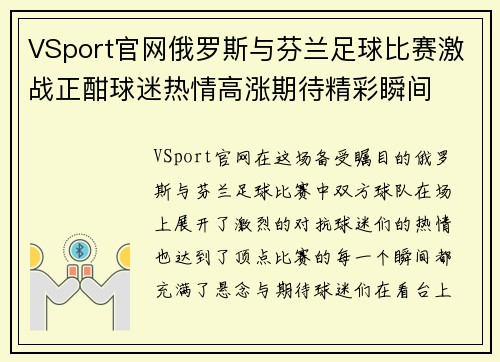 VSport官网俄罗斯与芬兰足球比赛激战正酣球迷热情高涨期待精彩瞬间