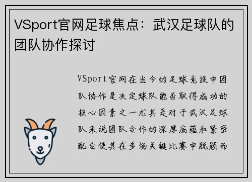 VSport官网足球焦点：武汉足球队的团队协作探讨